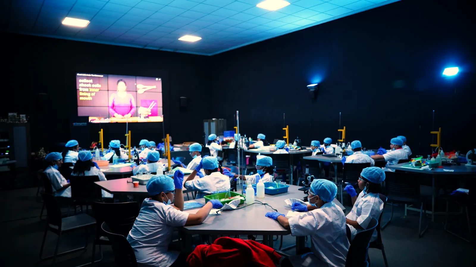 Students working at lab benches during a science session
