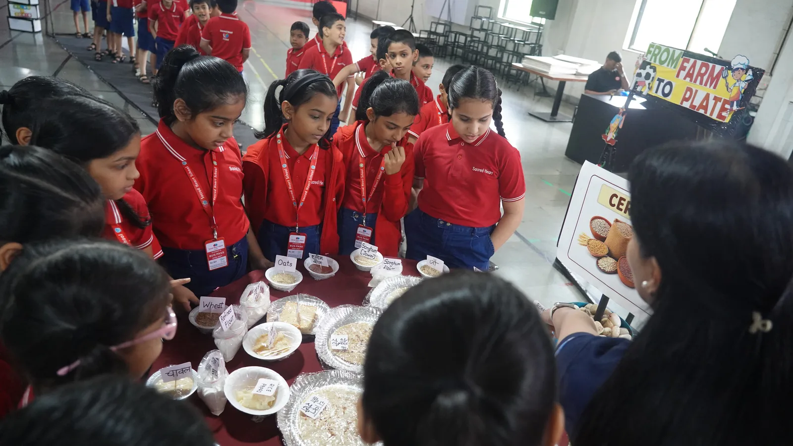 A Primary student examining produce during the Farm to Plate activity