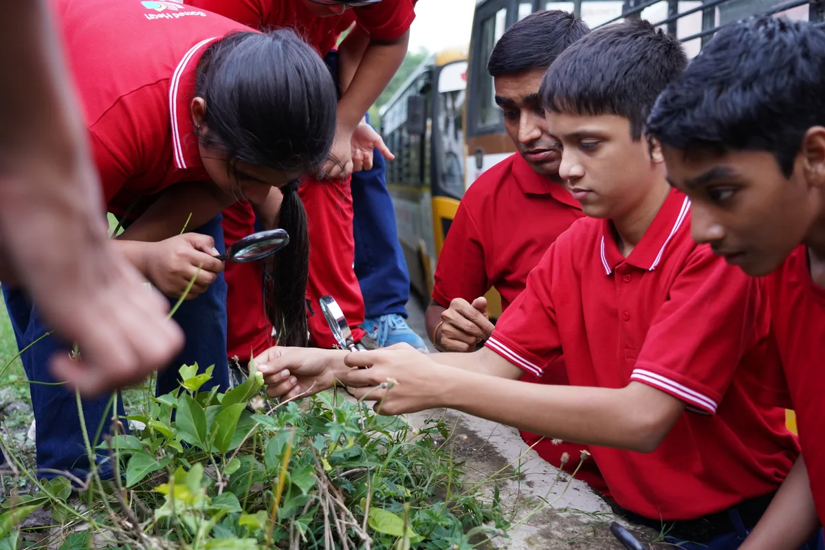 Agriculture & Nature Education